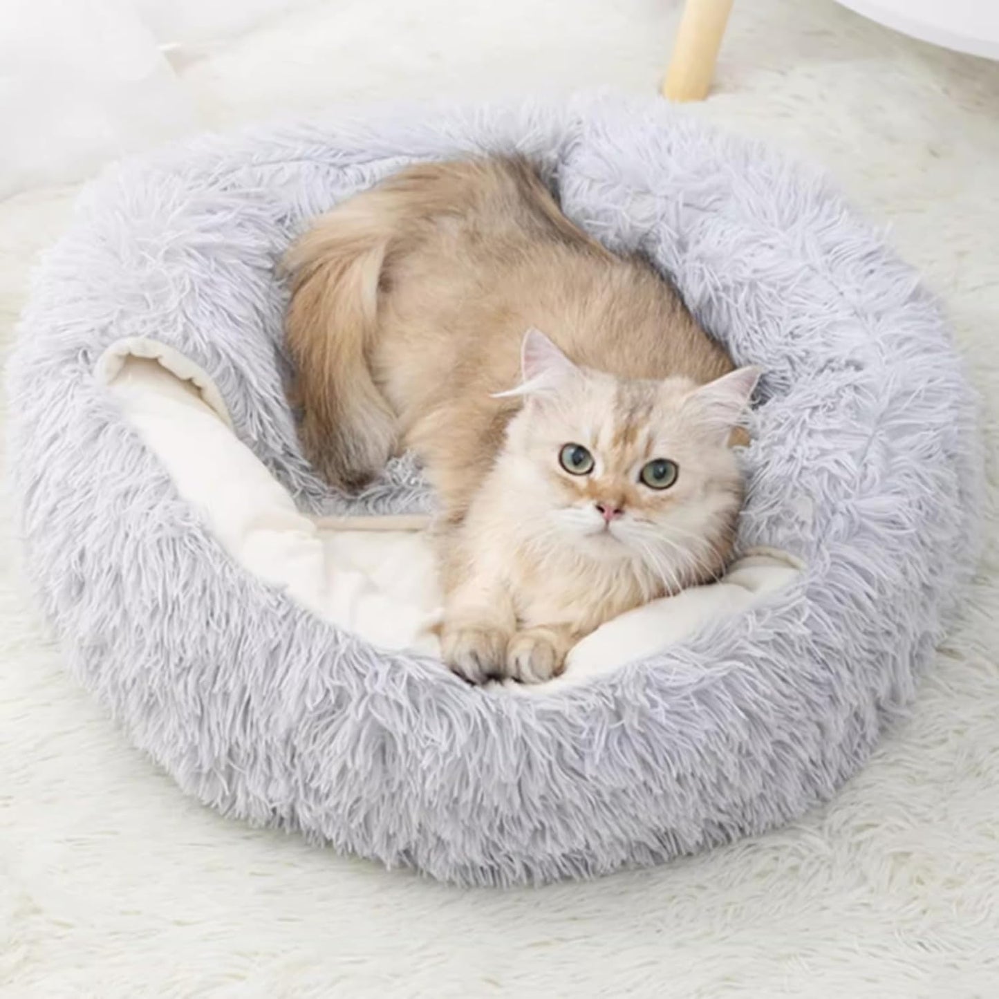 Cuccia calda e coccolosa. Il paradiso per il tuo piccolo pet. OFFERTA di fine inverno!